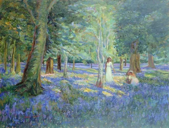 Bluebell Bos, 1908